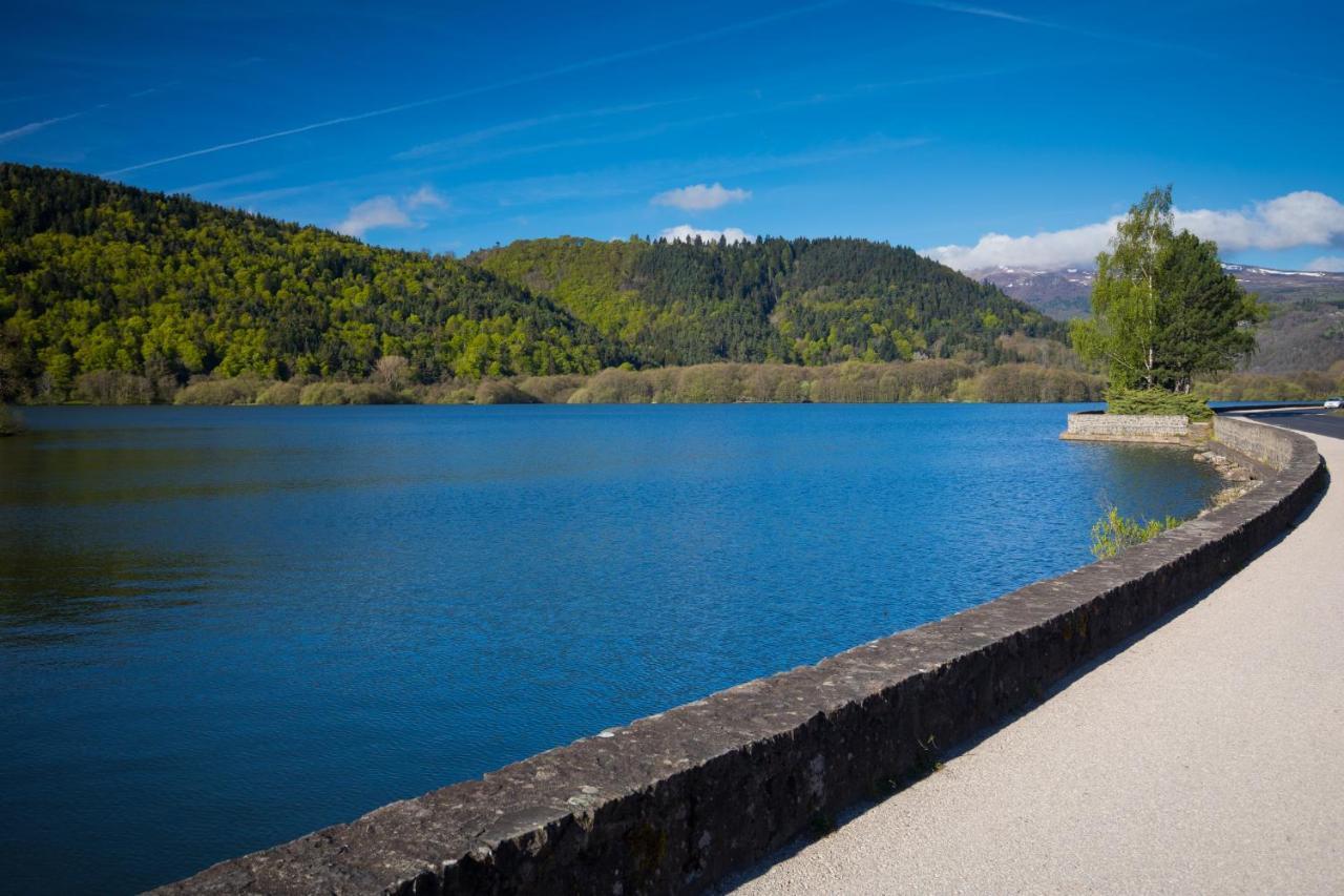 Villa La Dormeuse Du Val Chambon-sur-Lac Exterior foto