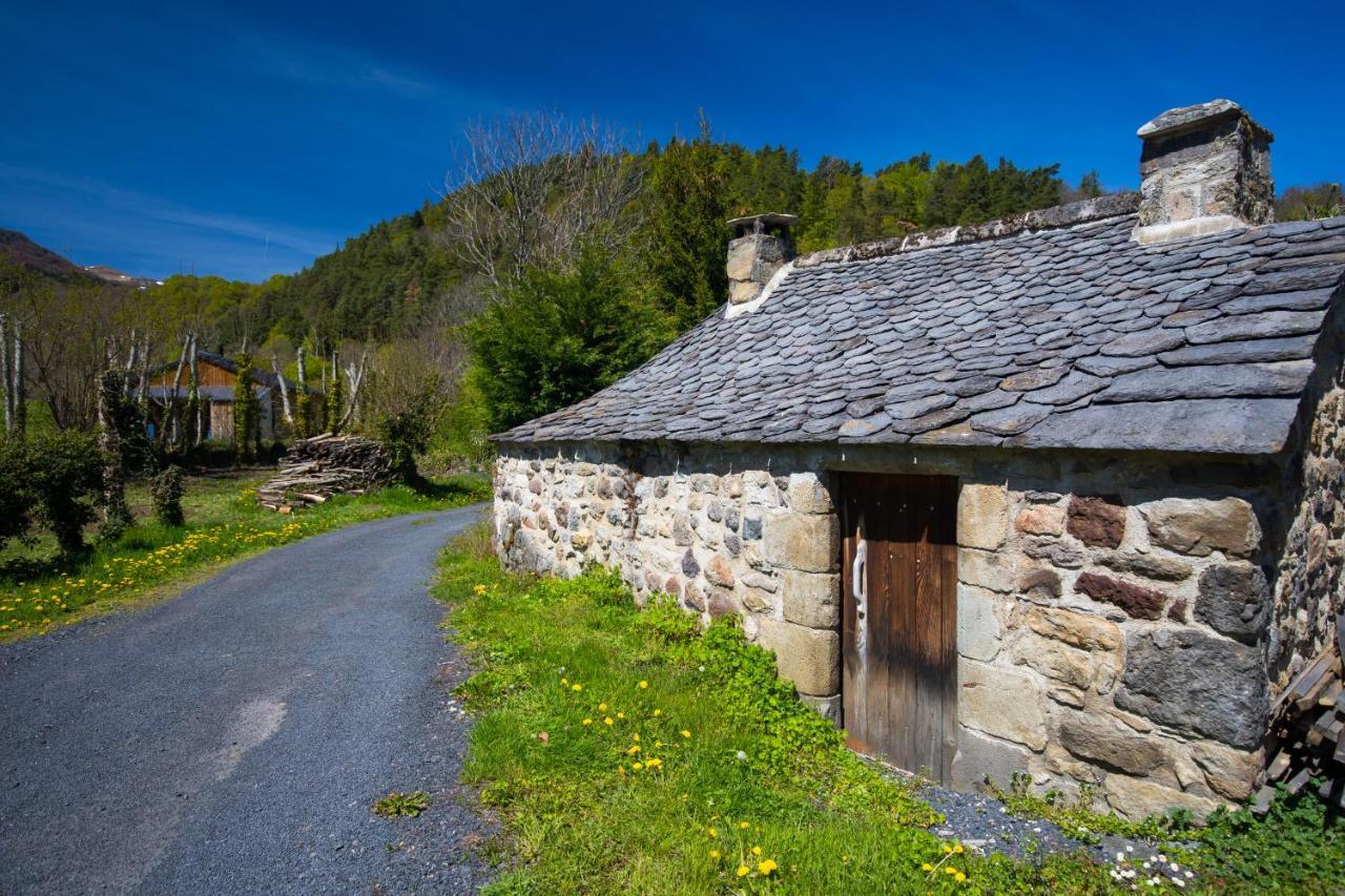 Villa La Dormeuse Du Val Chambon-sur-Lac Exterior foto